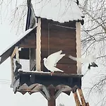 Casa Del Campo 1 *