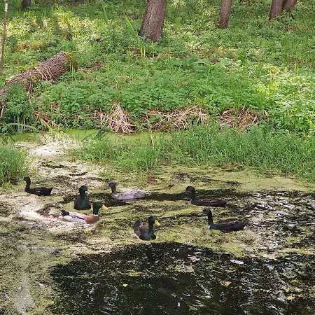 Casa Del Campo 1 Σπίτι διακοπών Gasno