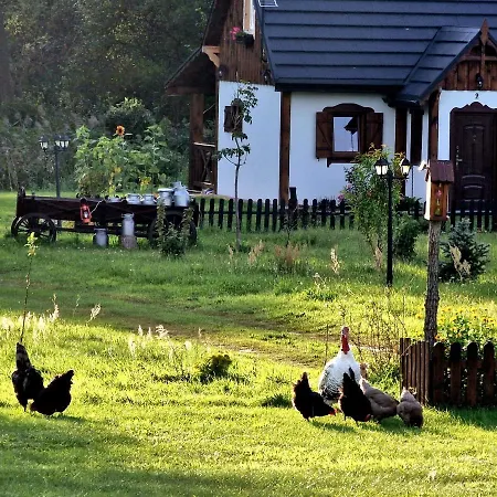 Casa Del Campo 1 펜션 Gasno