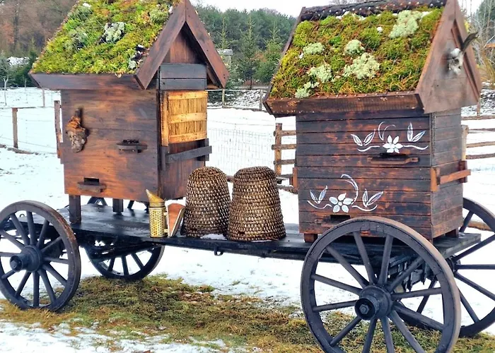 Casa Del Campo 1 Dom wakacyjny Gasno